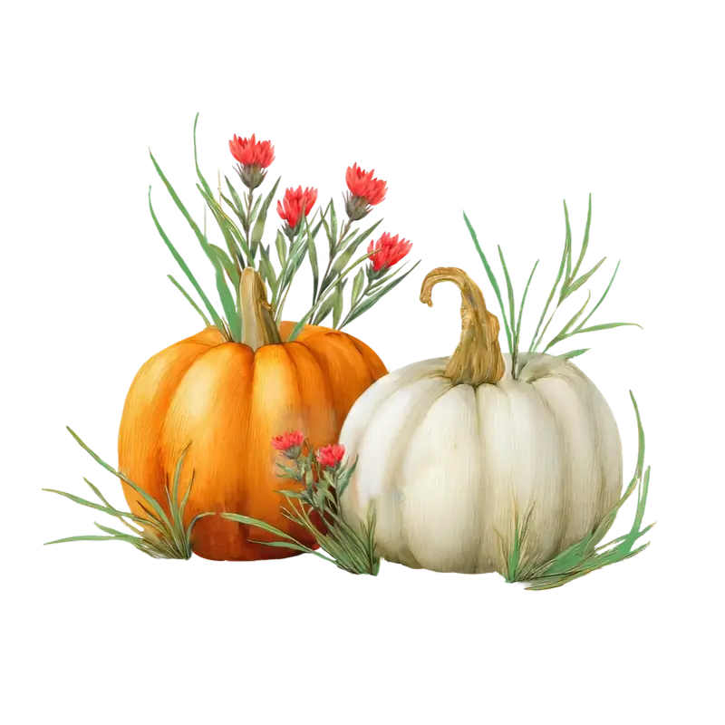 Watercolor Pumpkins with Wildflowers Clipart for Fall Designs